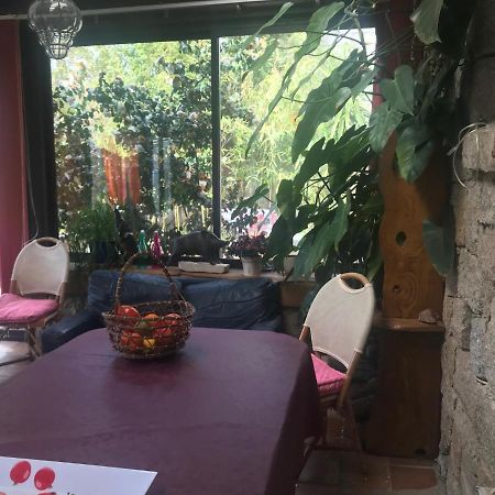Bed and Breakfast Le Paradis Zicavo Экстерьер фото